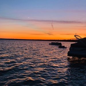 Meet your Posher, Ava